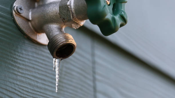 Best Plumbing Services Near Me  in Cheswick, PA
